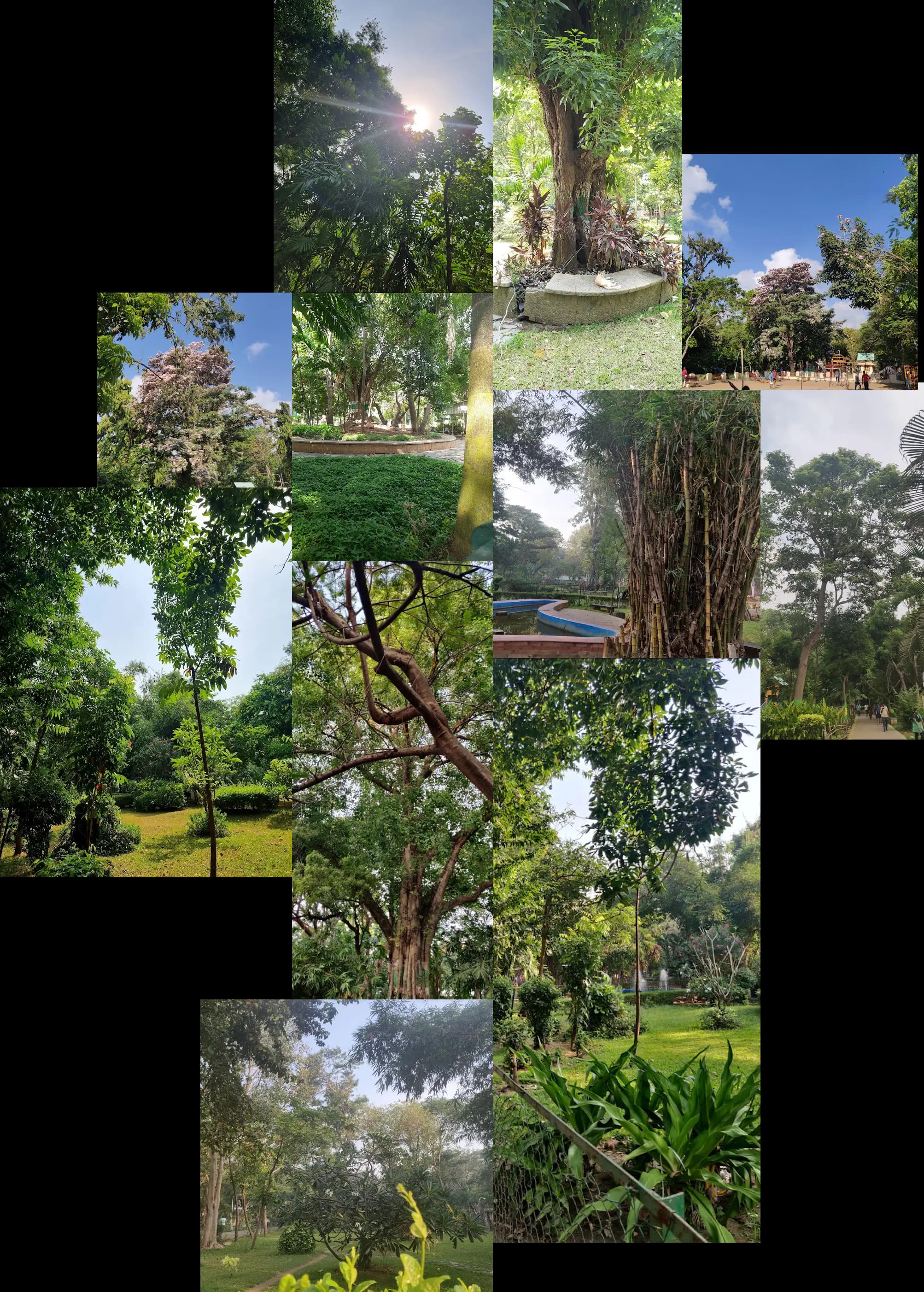 natureImg